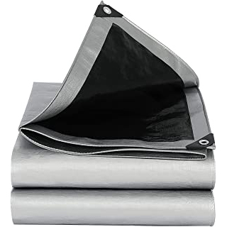 Silver/black